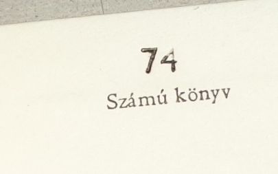 termék fotó