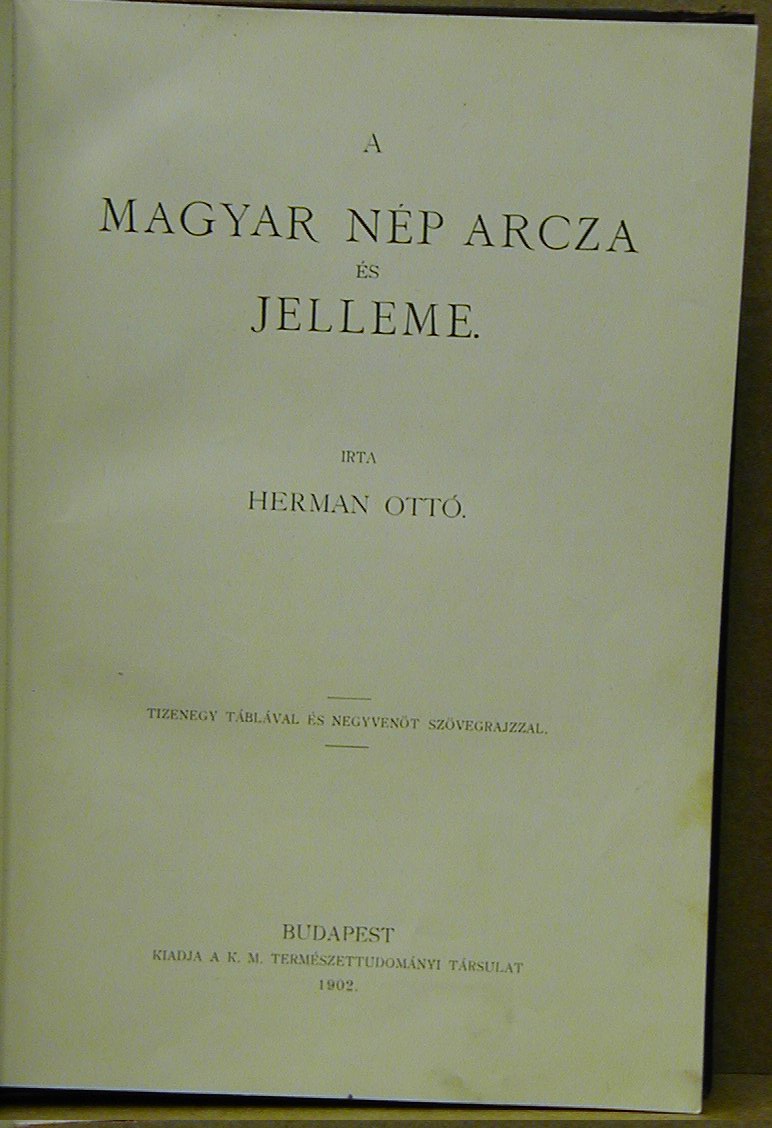 termék fotó
