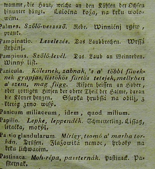 termék fotó