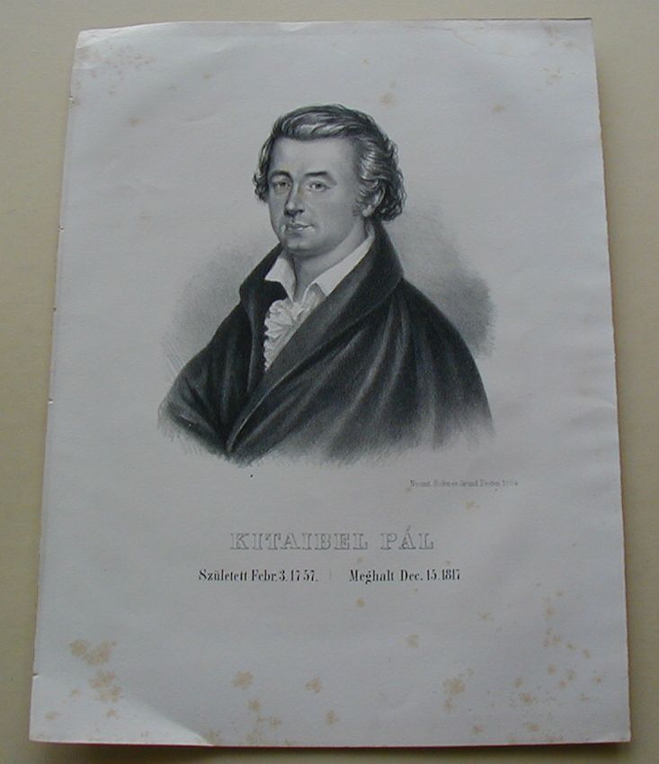 termék fotó