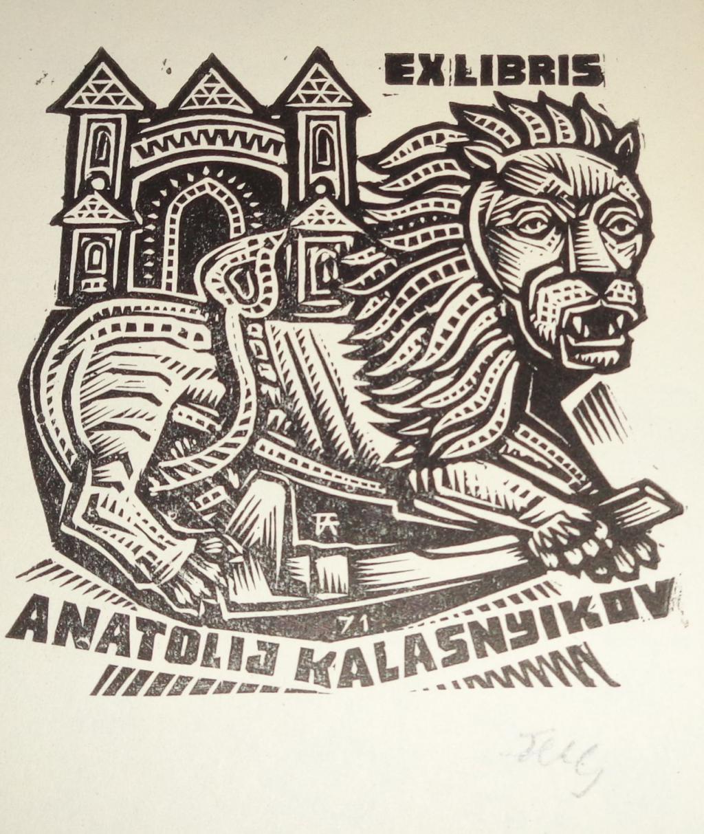 termék fotó