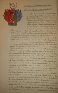 Brencsán család nemesi iratai 4 db+ hozzá tartozik Demkó Kálmán történésznek a Brencsán családdal kapcsolatos levelezése, kutatása 4 db + Woinovich Emil  tábornok levele Demkó Kálmánnak  a Brencsán család egy tagjával kapcsolatban