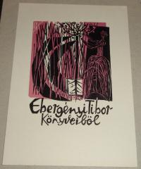 Diskay Lenke: Ebergényi Tibor könyveiből