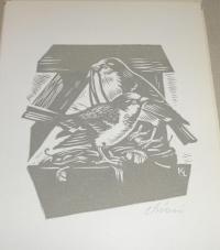 Kékesi László: Ismeretlen