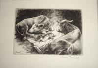 Kiss Terézia: Újszülött