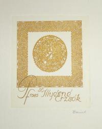 Dániel Viktor (1926 - 2001): P. F. 1985. Dr. Illyésné Erzsók