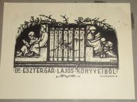 Nikelszky Géza: Dr. Esztergár Lajos könyveiből